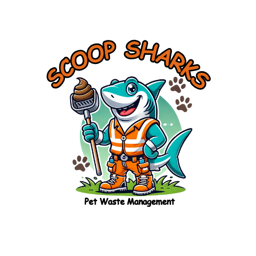 Scoop Sharks