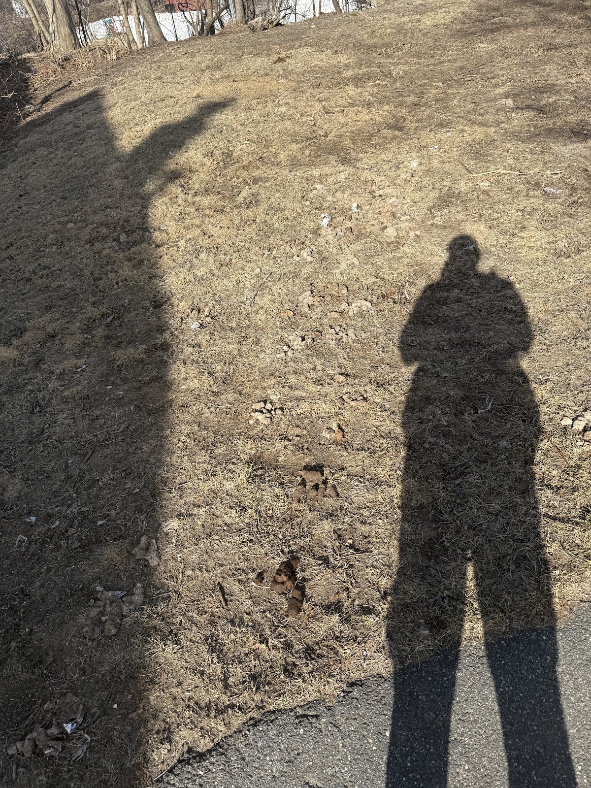 Pickup Poo Crew - Photo 3