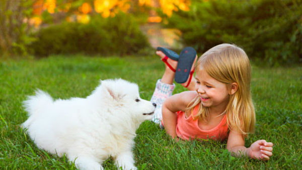 Doody Pros - Pet Waste Removal - Photo 2