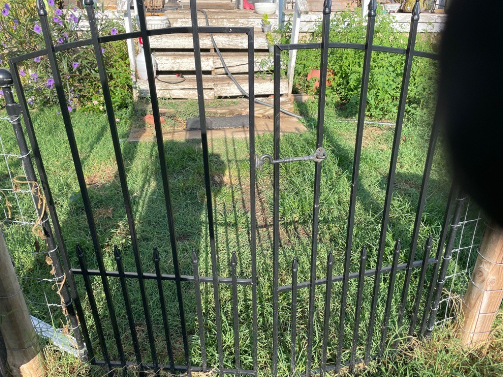 Doggy Doo-Care Pet Waste Removal OKC - Photo 3