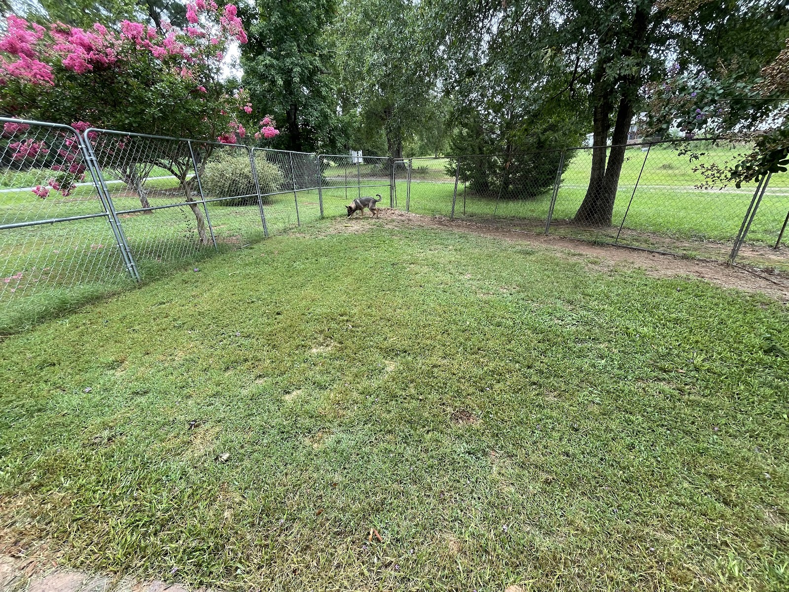 POOP 911 Rock Hill - Photo 2