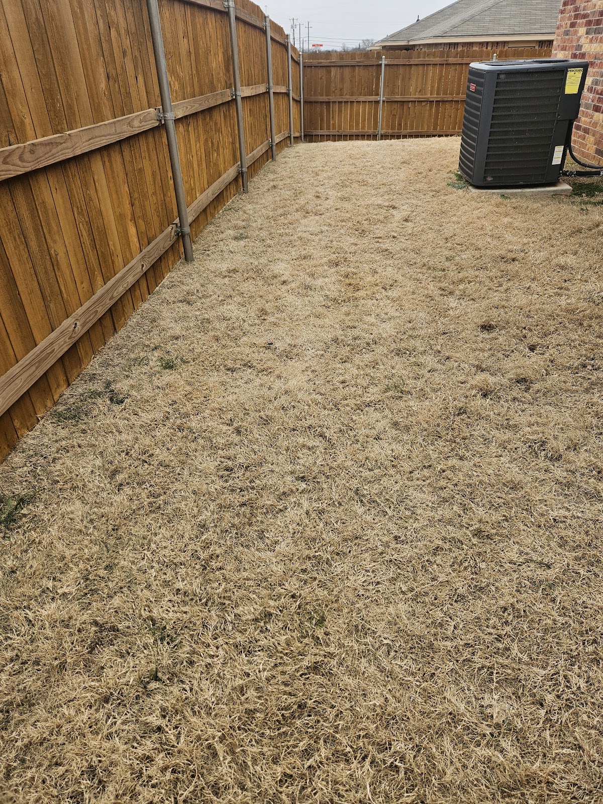 Fletcher's Poop Patrol - Photo 2