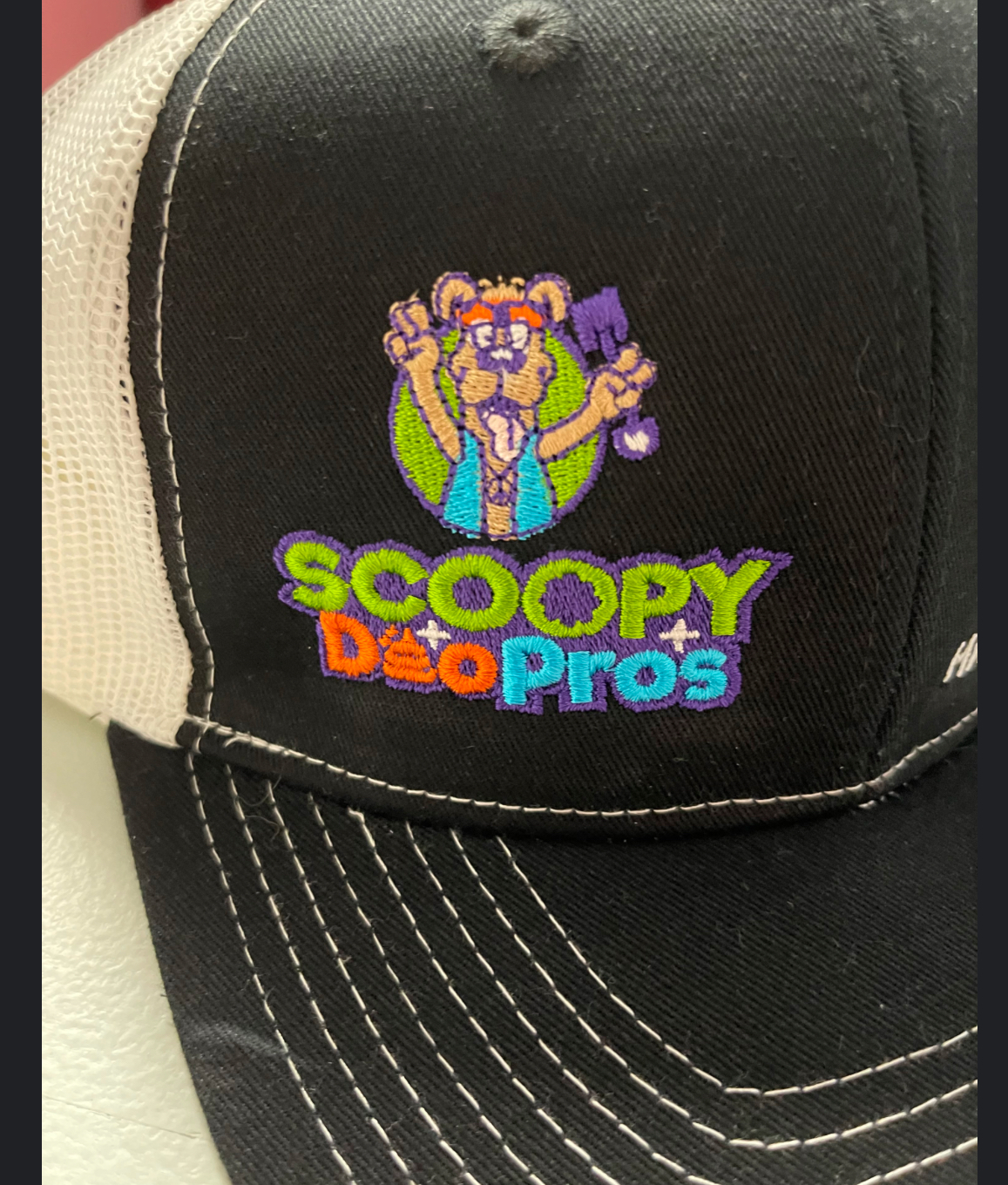 Scoopy Doo Pros - Photo 2