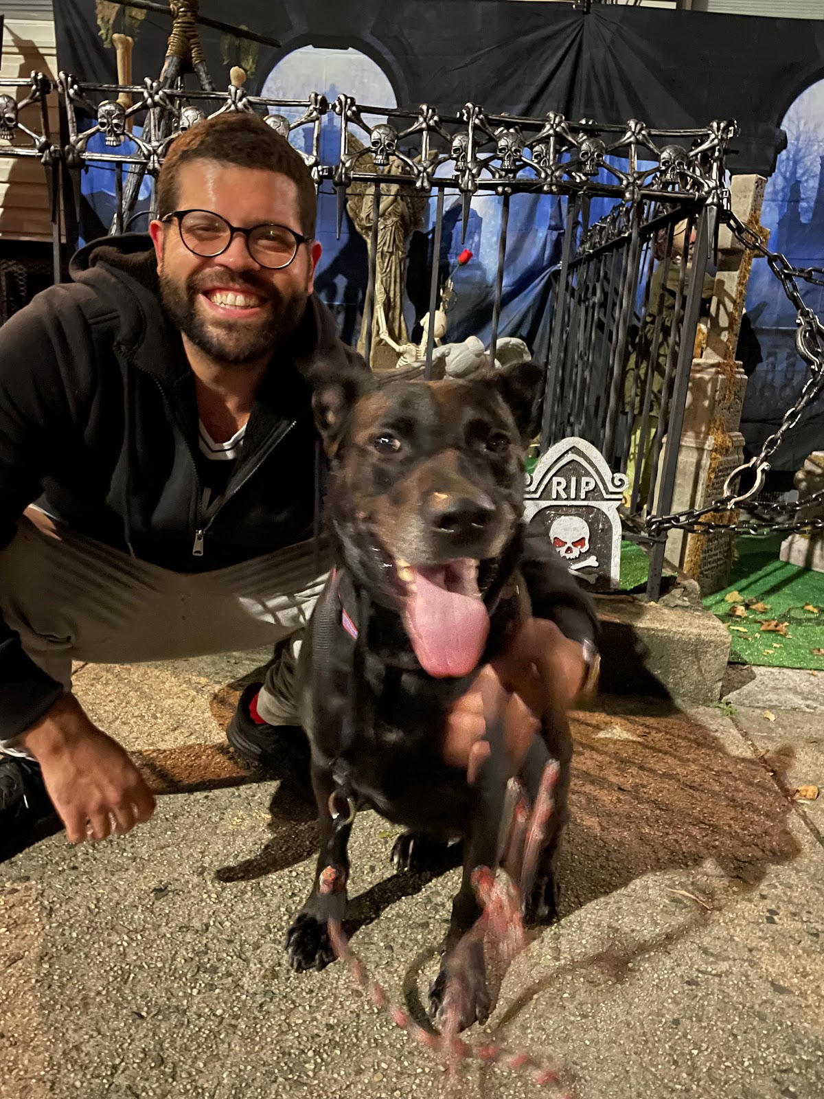 Rubin's Paws - Photo 3