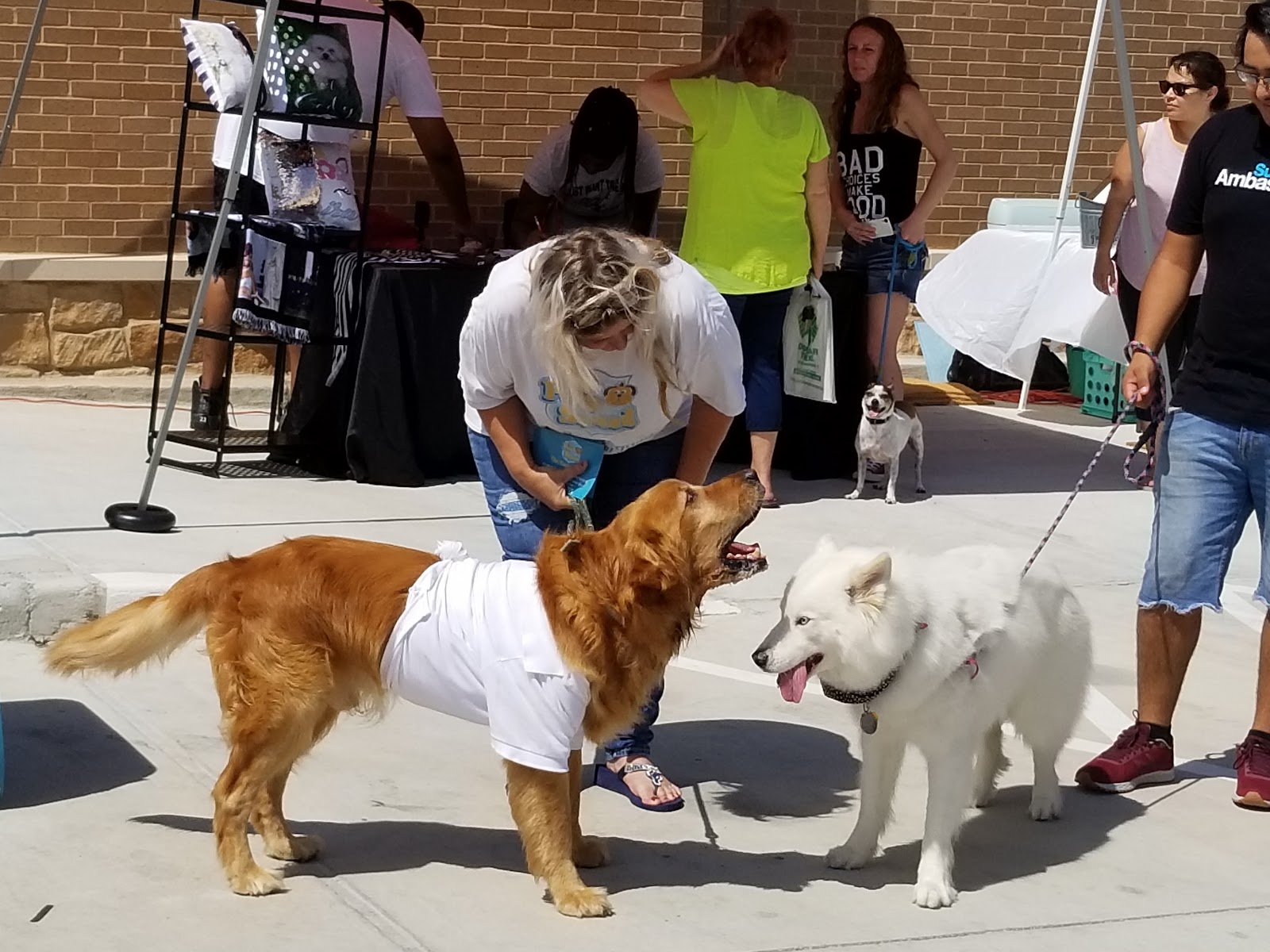 The Poop Squad Pet Waste Removal & Pet Sitting Services houston, Texas - Photo 3