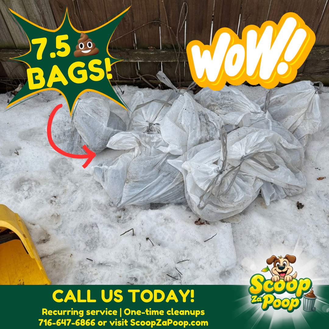 Scoop Za Poop - Photo 4