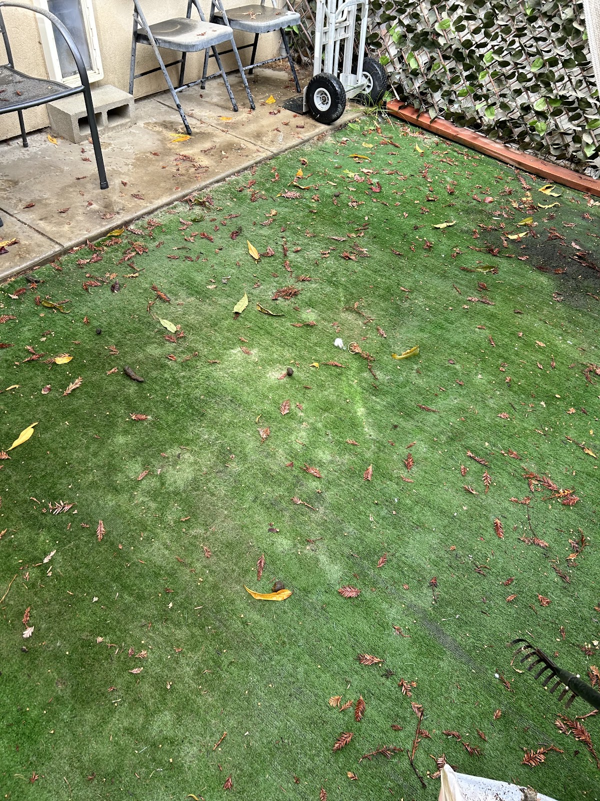 Picking Up Puppy Poop