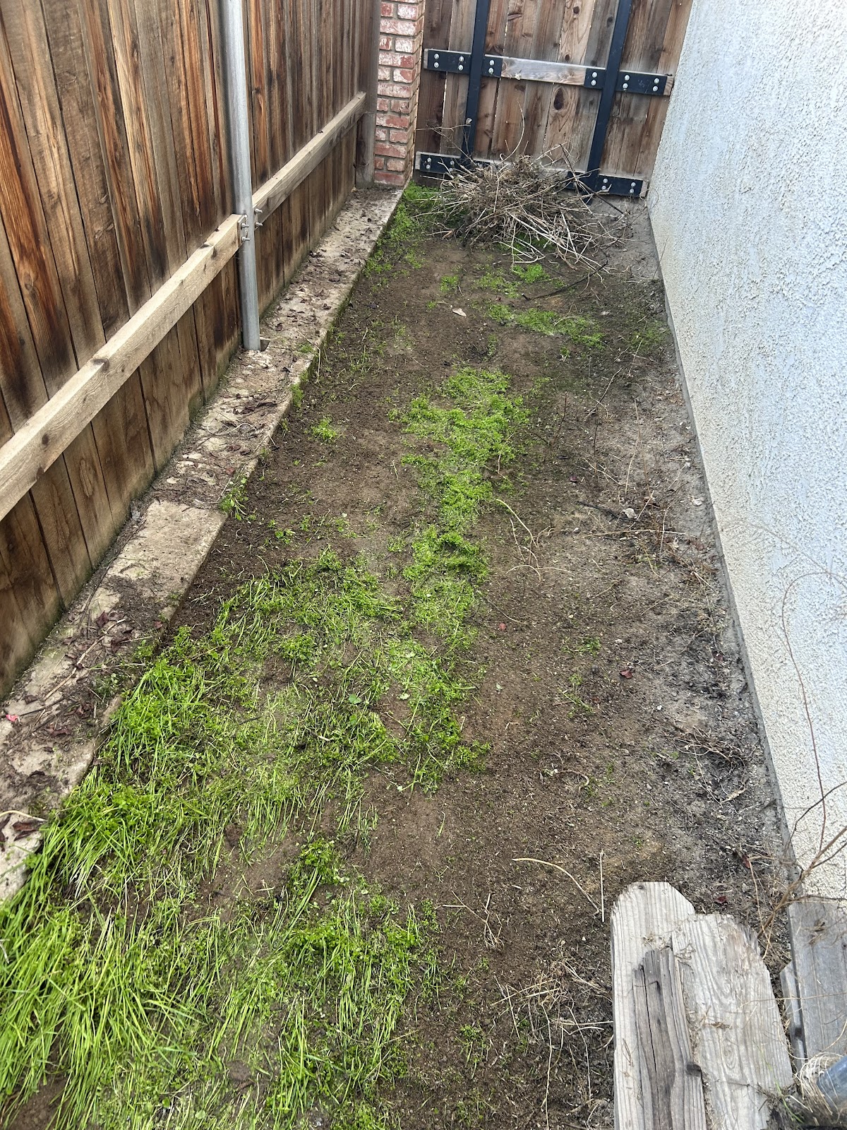 Picking Up Puppy Poop - Photo 2