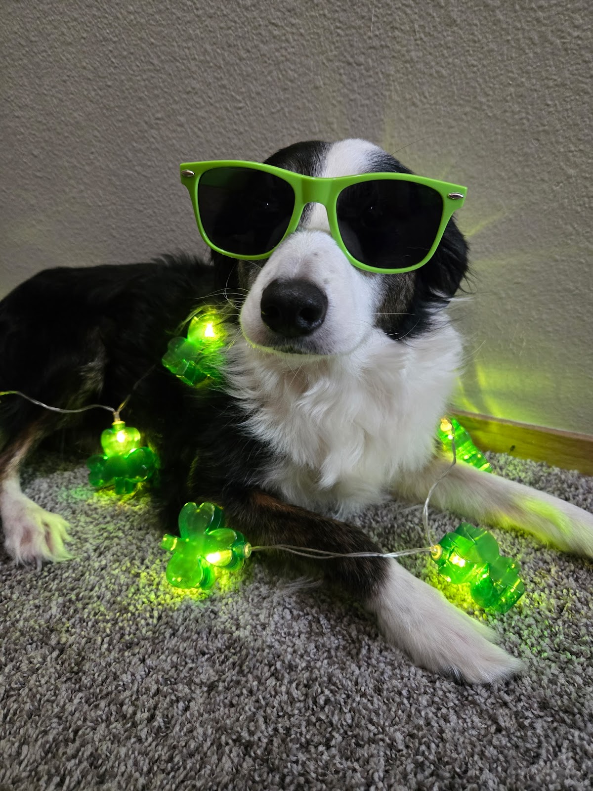 Swiftly Scoopers - Photo 2