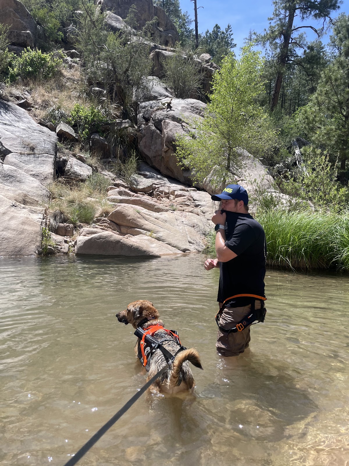 Doggie Doo Detail - Photo 2