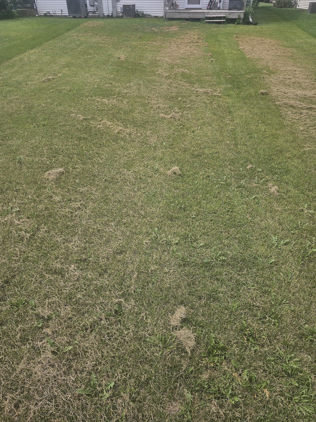 Turdminators Pet Waste Removal Rockford