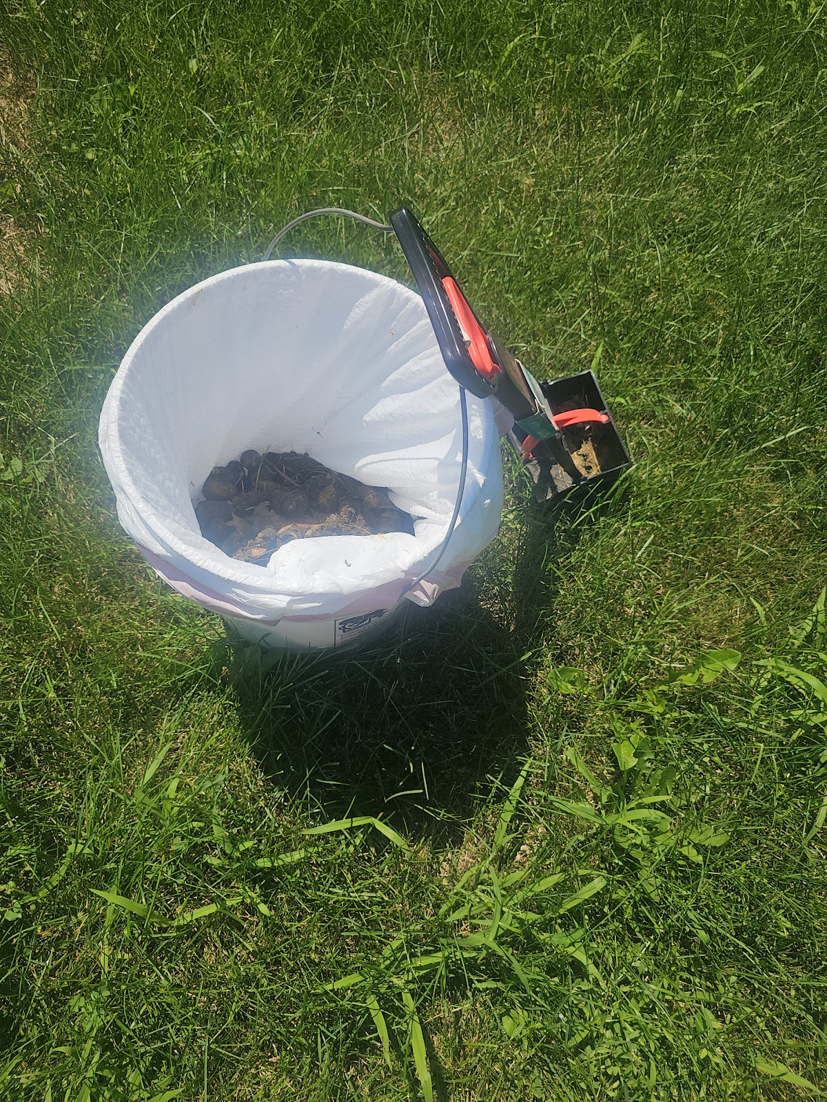 Turdminators Pet Waste Removal Rockford - Photo 2