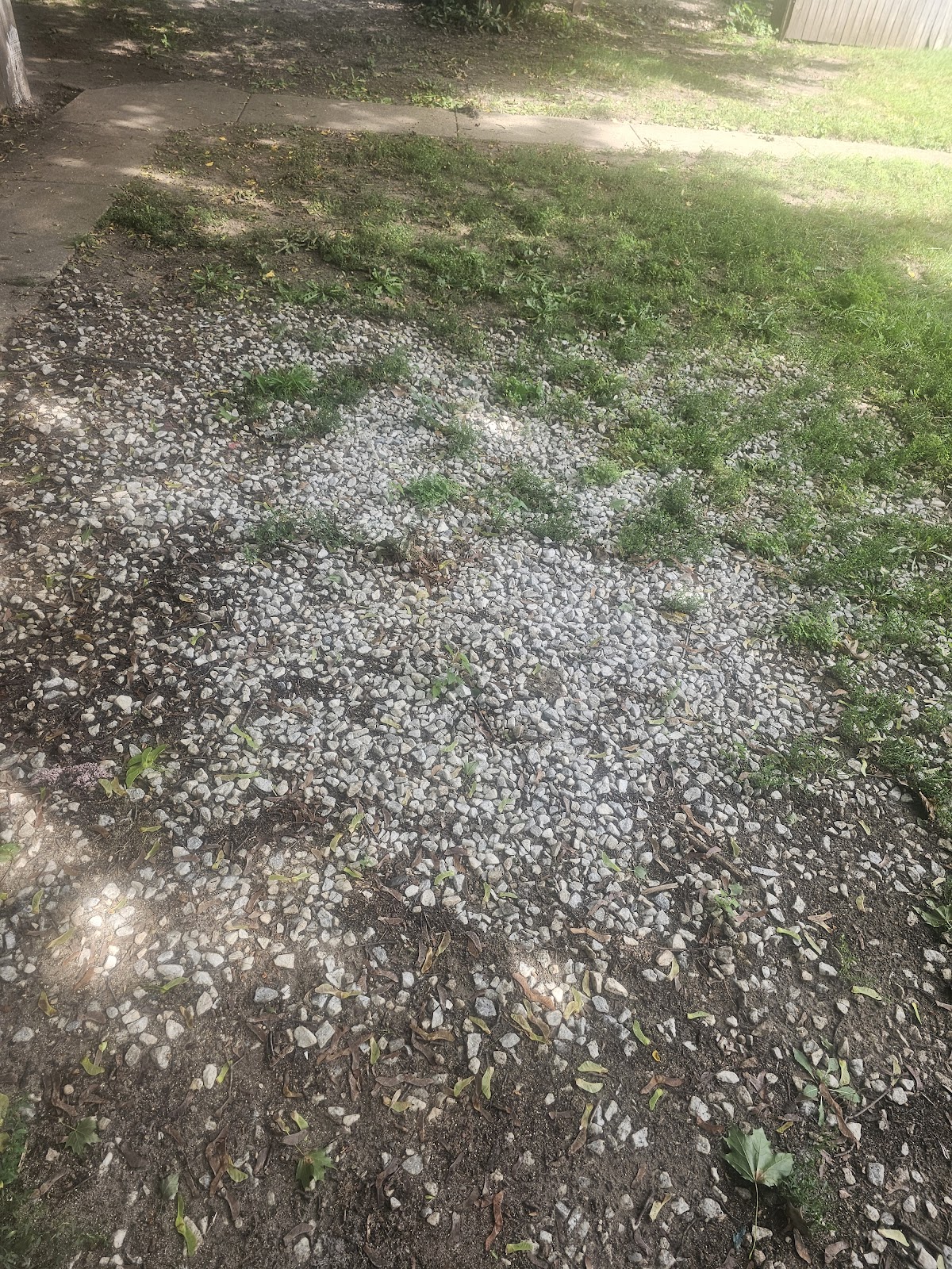 Turdminators Pet Waste Removal Rockford - Photo 4