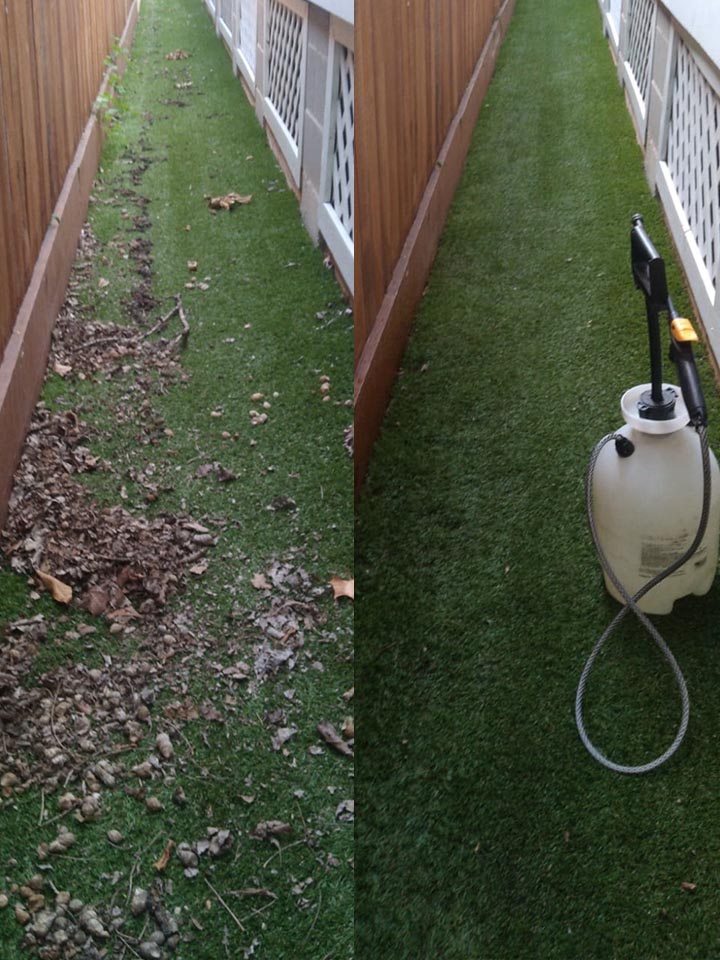 Scoop Le Poop Pet Waste Removal Service