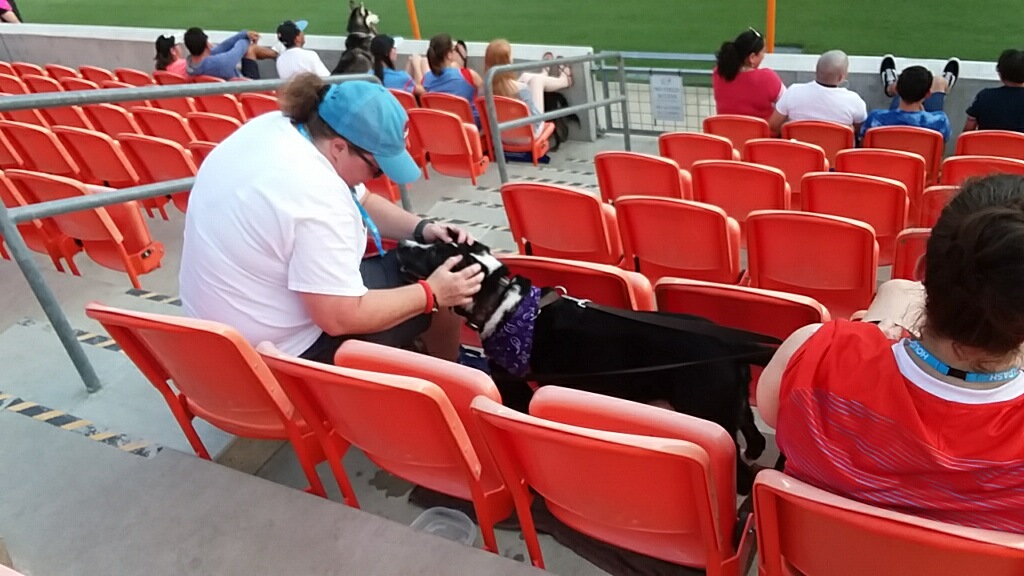 Scoop Le Poop Pet Waste Removal Service - Photo 2