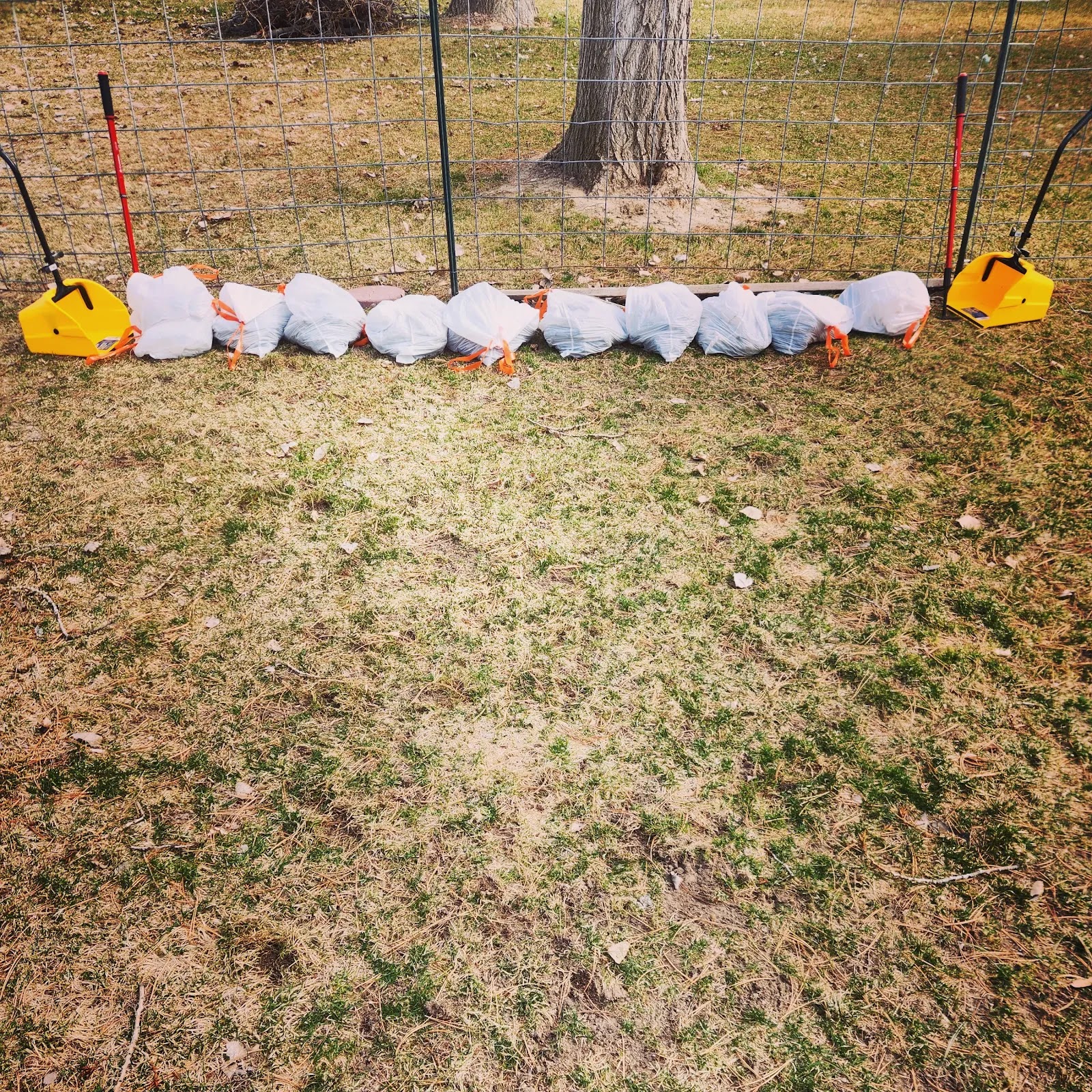 Number 2 Pet Waste Removal Pocatello-Chubbuck - Photo 2