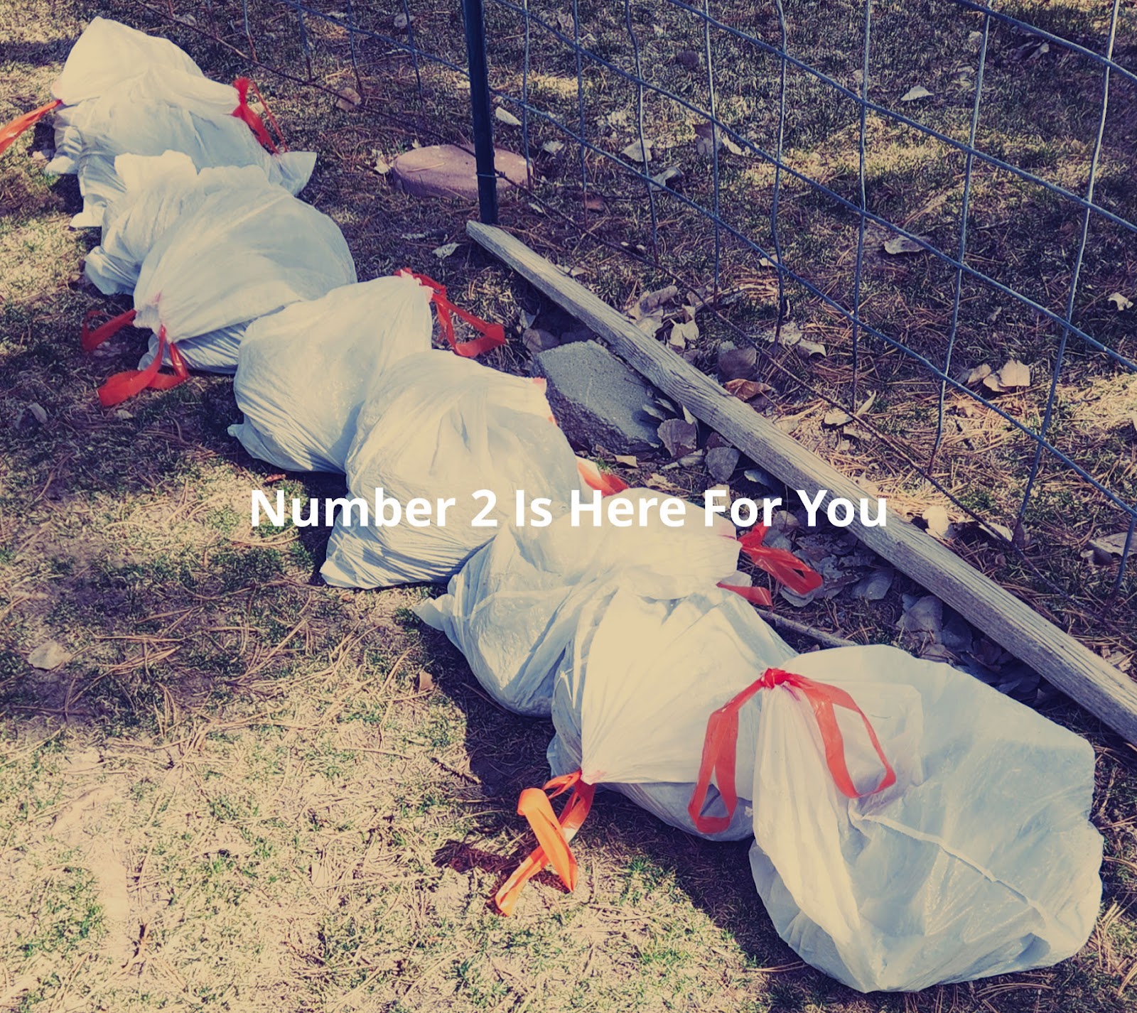 Number 2 Pet Waste Removal Pocatello-Chubbuck - Photo 3