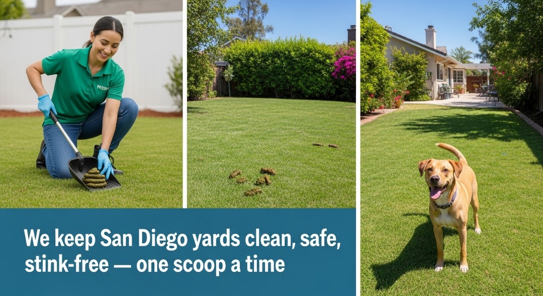 Rake & Go, Pet & Dog Waste Removal Pooper Scooper Service - Photo 3