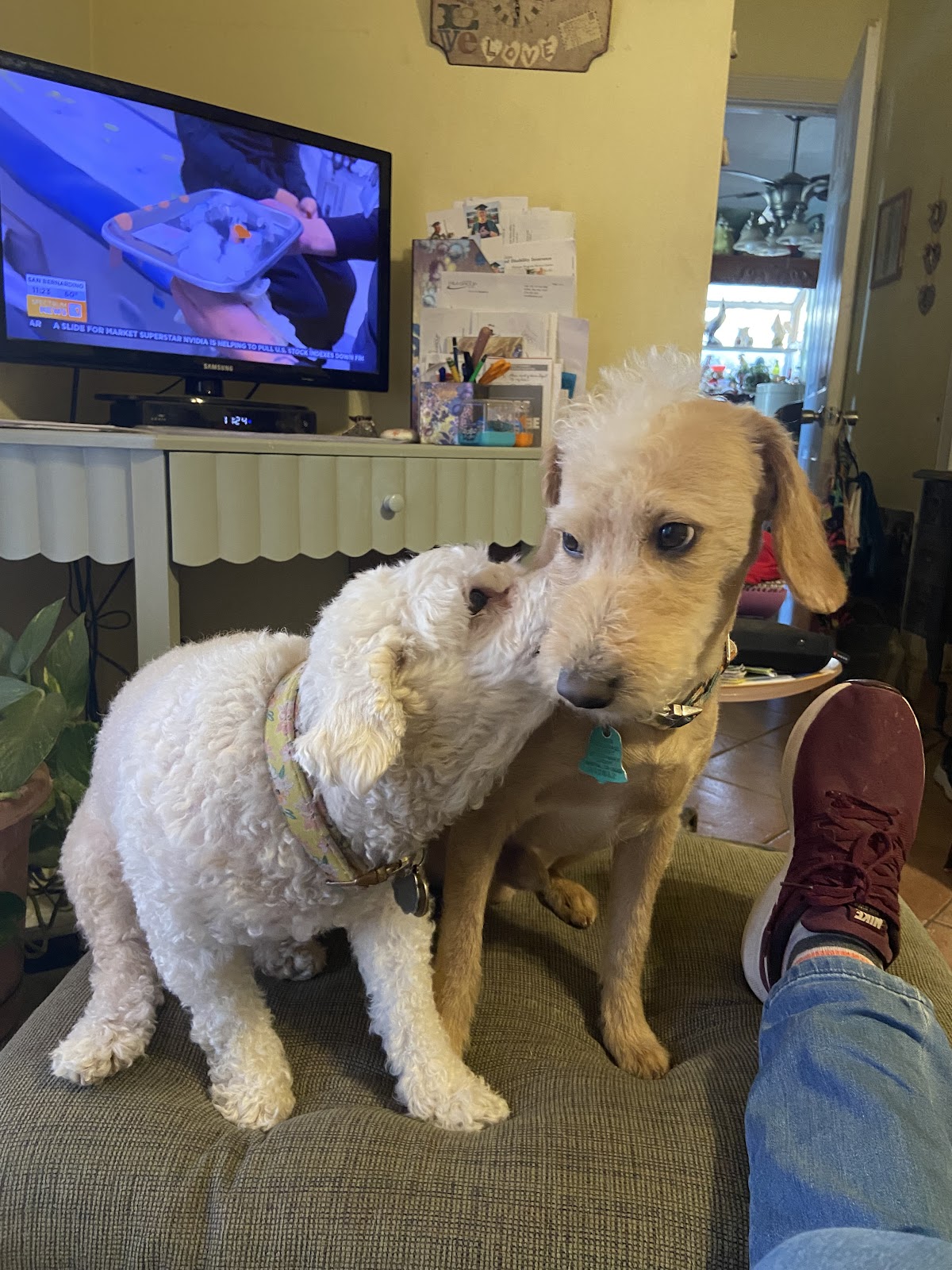 Scoop an Oops - Photo 3