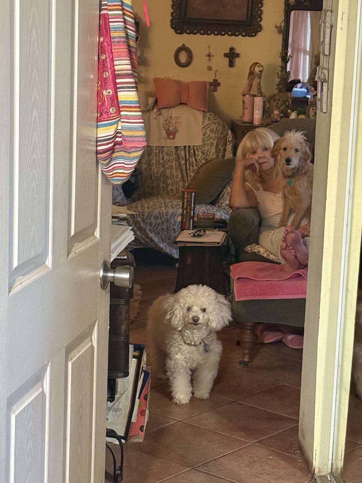 Scoop an Oops - Photo 4