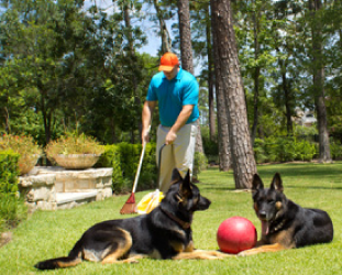 Pup Clean Up - Dog Poop Scoop Service & Waste Removal Pickup - Photo 3