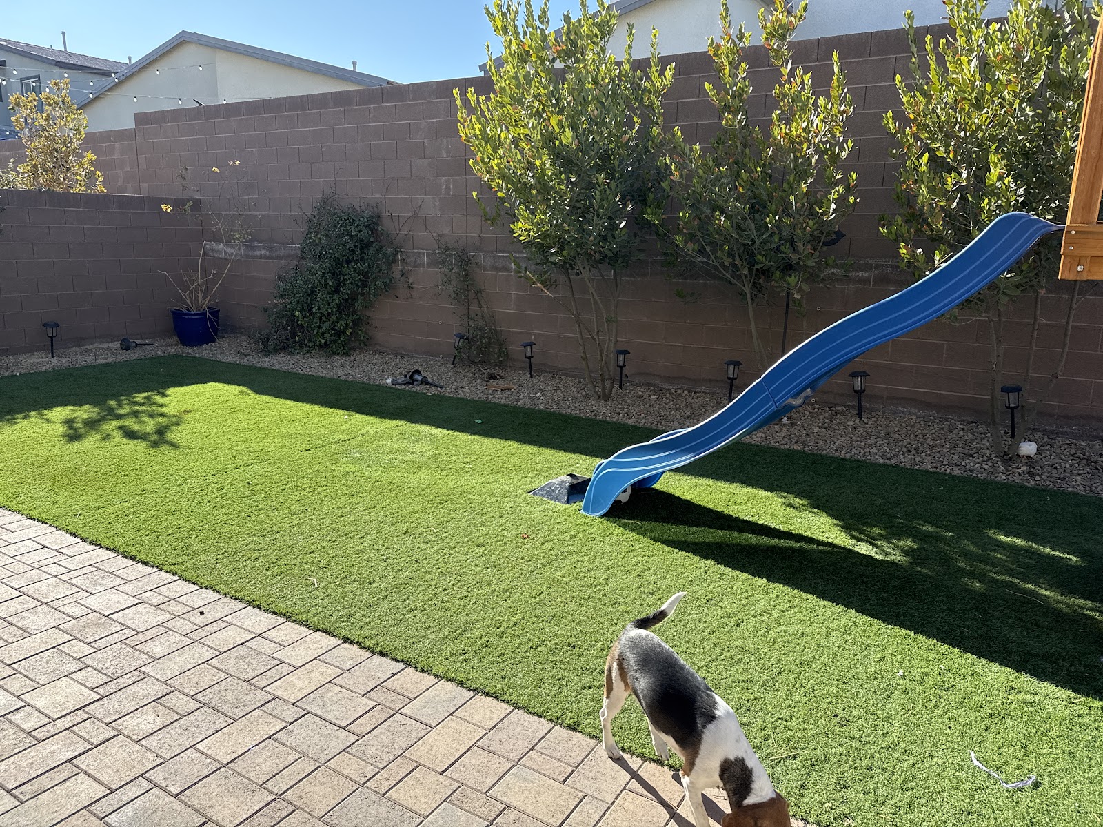 Scoop Pros - Photo 2