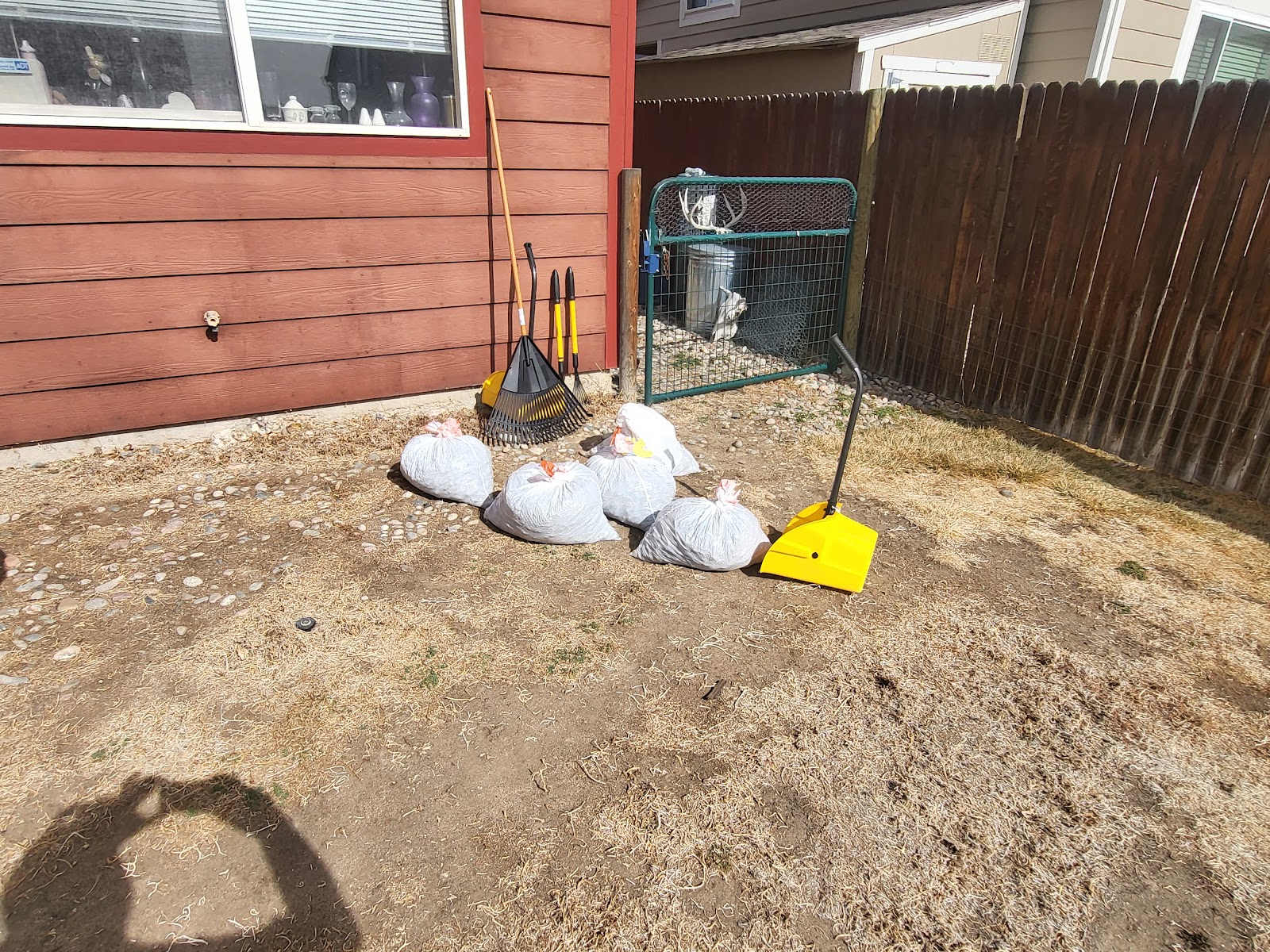 Call of Dooty Pet Services LLC - Photo 4