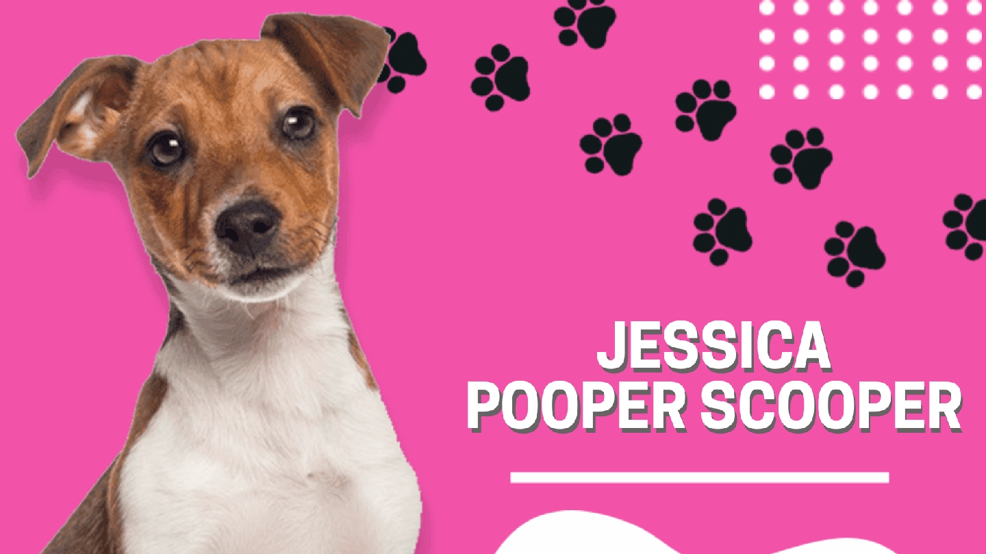 Muskegon's Poopin' Scoopin' LLC