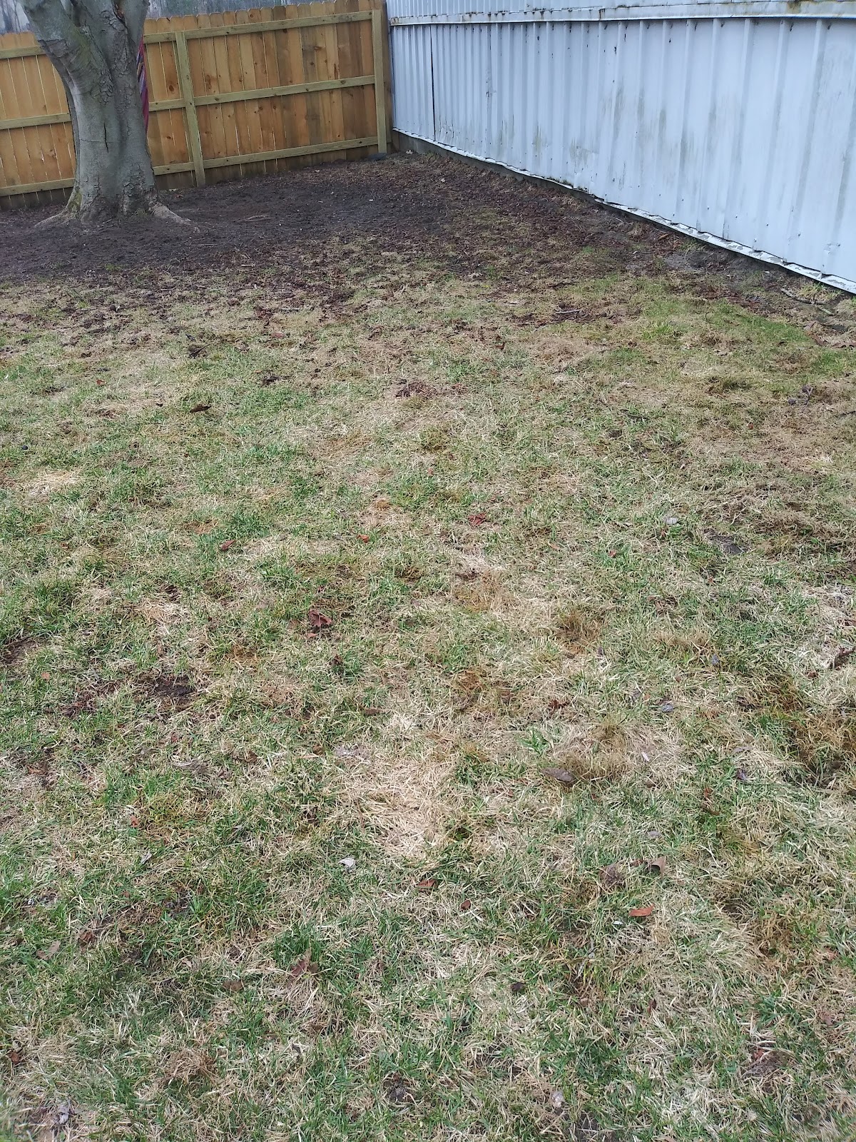 Muskegon's Poopin' Scoopin' LLC - Photo 2