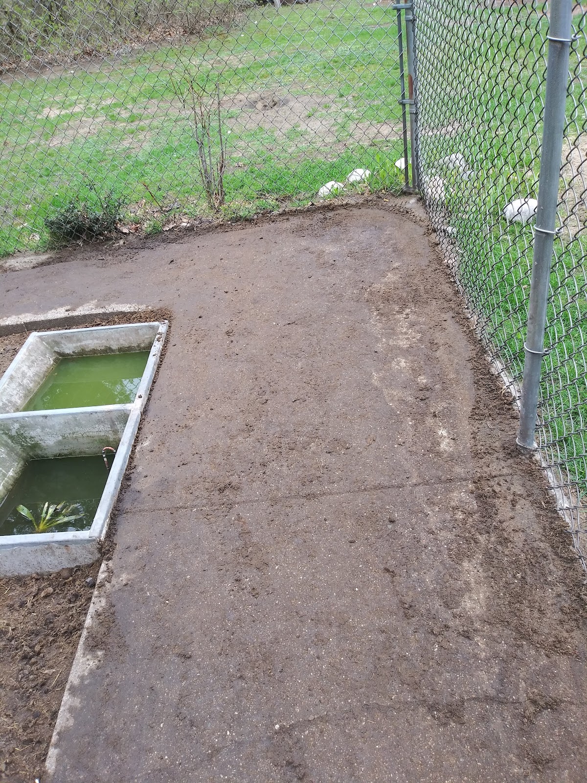 Muskegon's Poopin' Scoopin' LLC - Photo 3