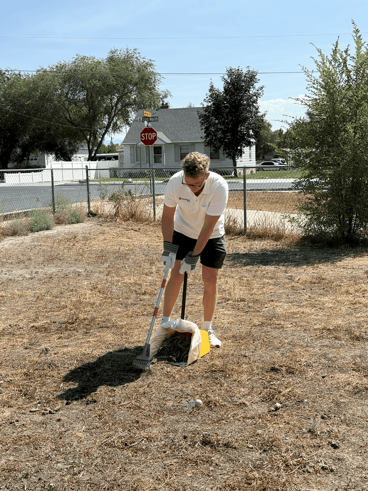 Poofight.com – Dog Waste Removal
