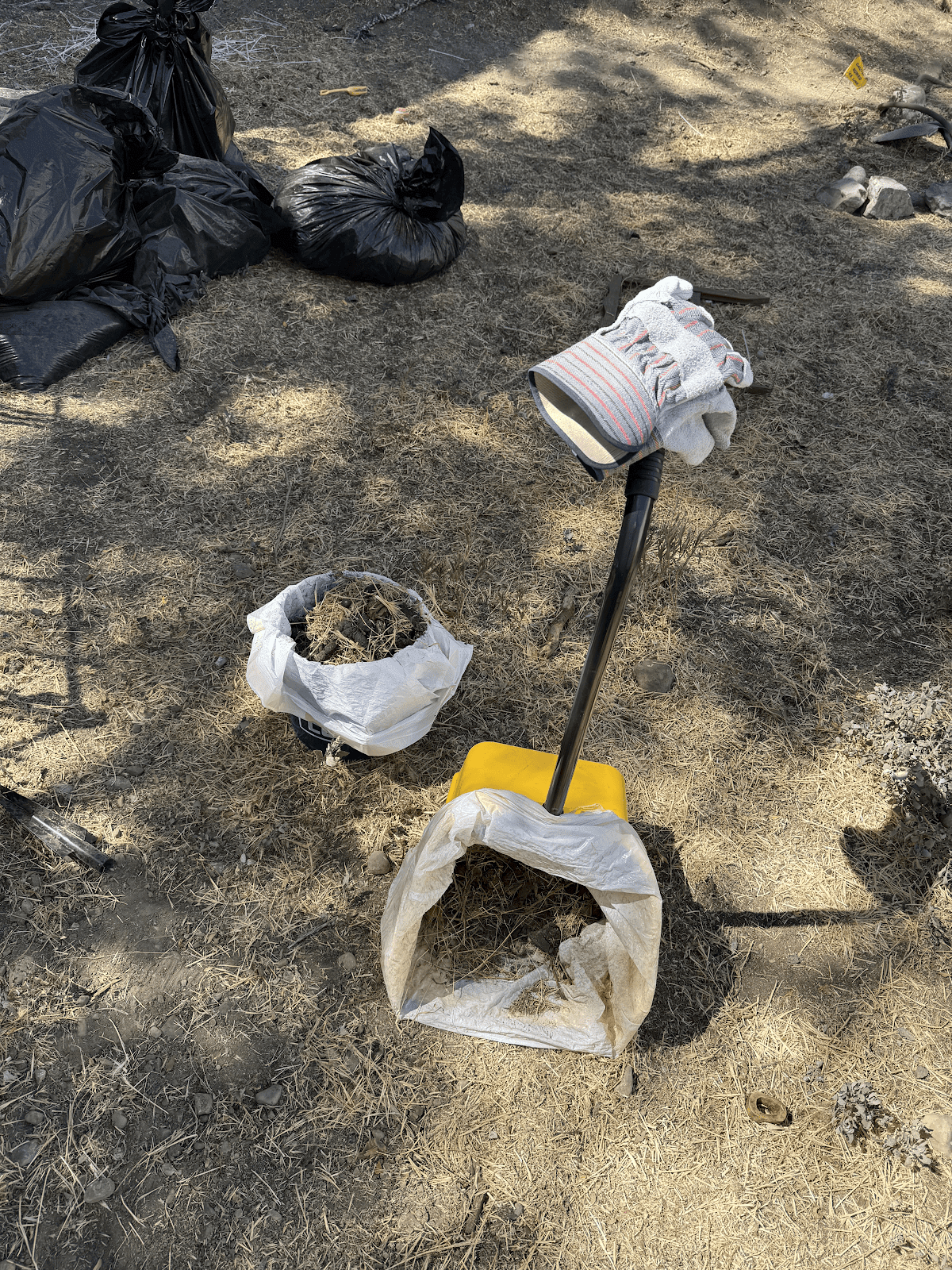 Poofight.com – Dog Waste Removal - Photo 3