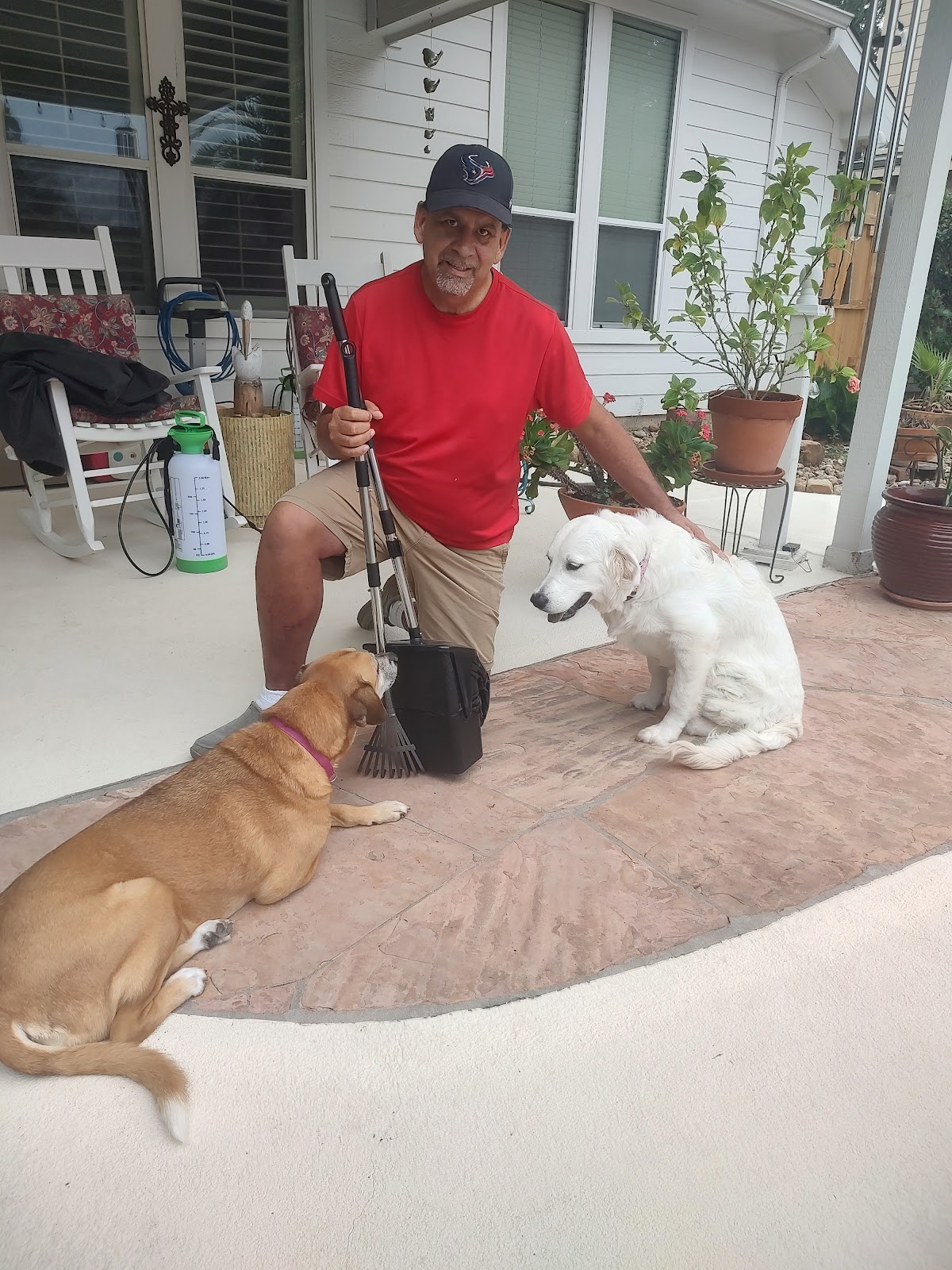 Doggy Poo Patrol - Photo 3