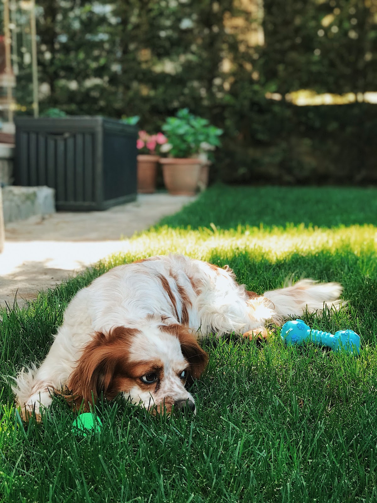 Clean Yards - Photo 2