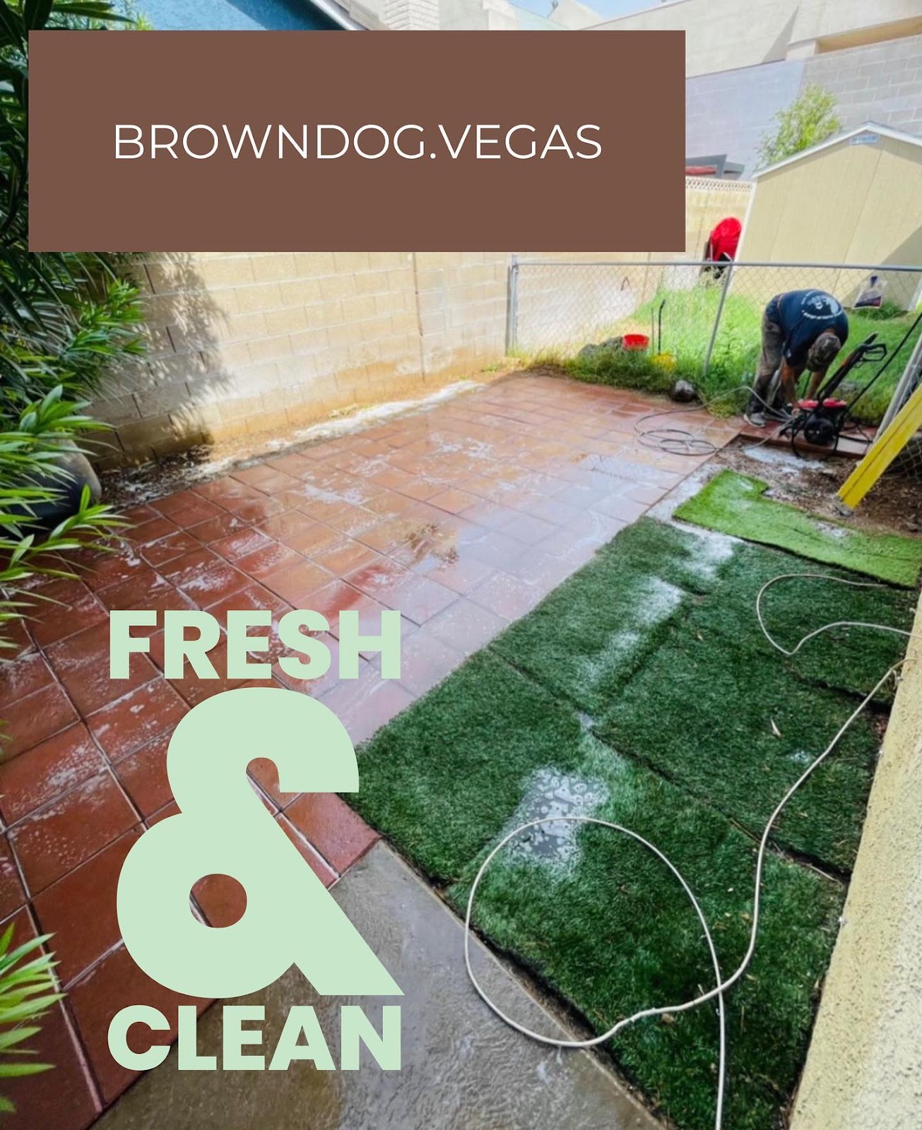 Brown Dog Pet Waste Solutions