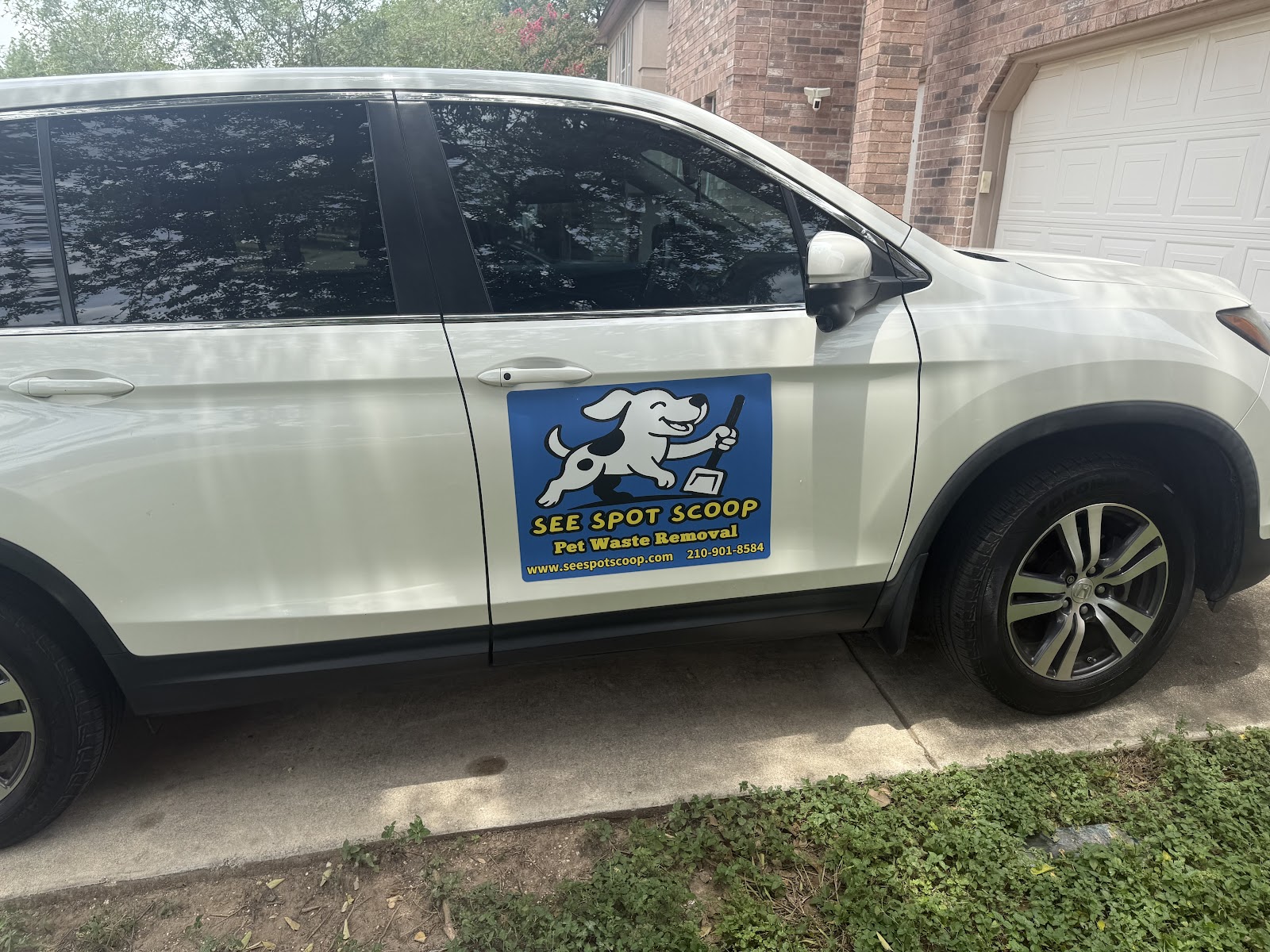 See Spot Scoop - Photo 3