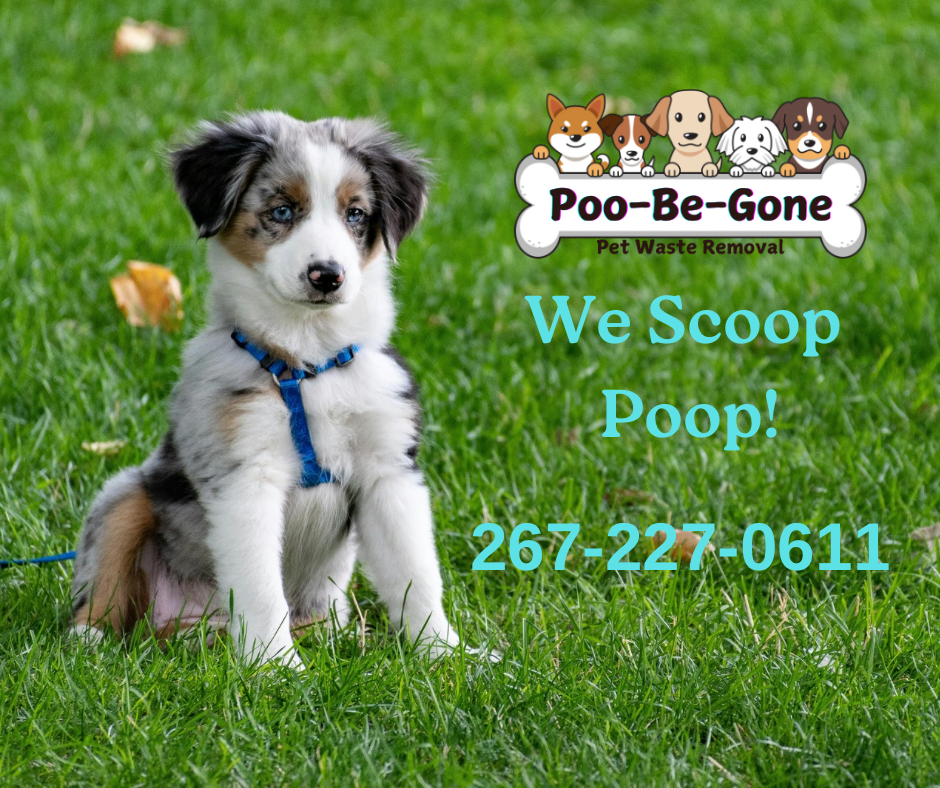 Poo-Be-Gone Pet Waste Removal