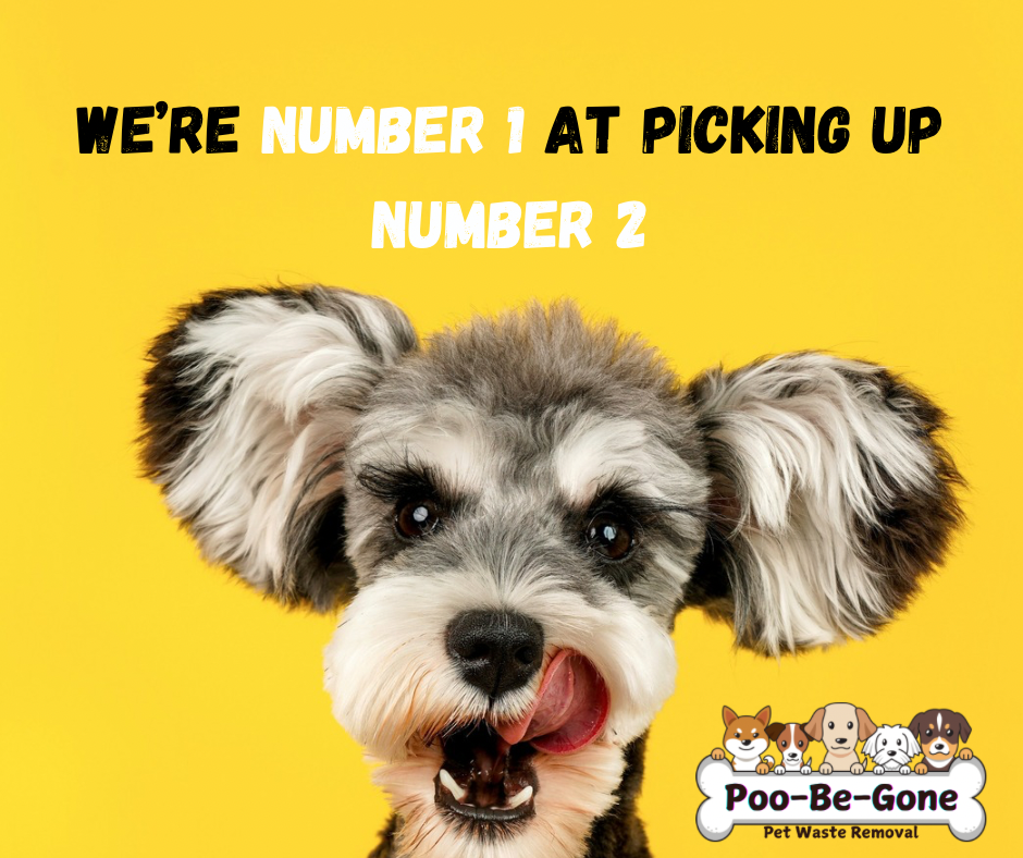 Poo-Be-Gone Pet Waste Removal - Photo 2