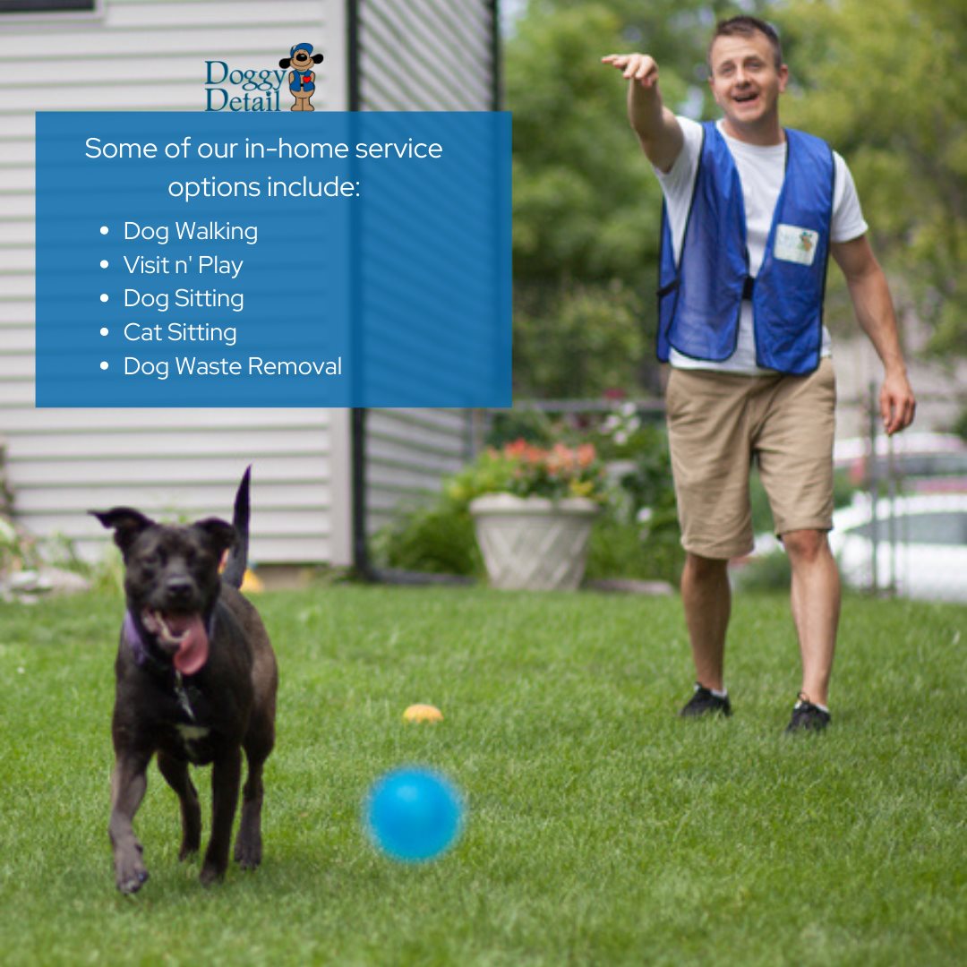 Doggy Detail - Photo 2