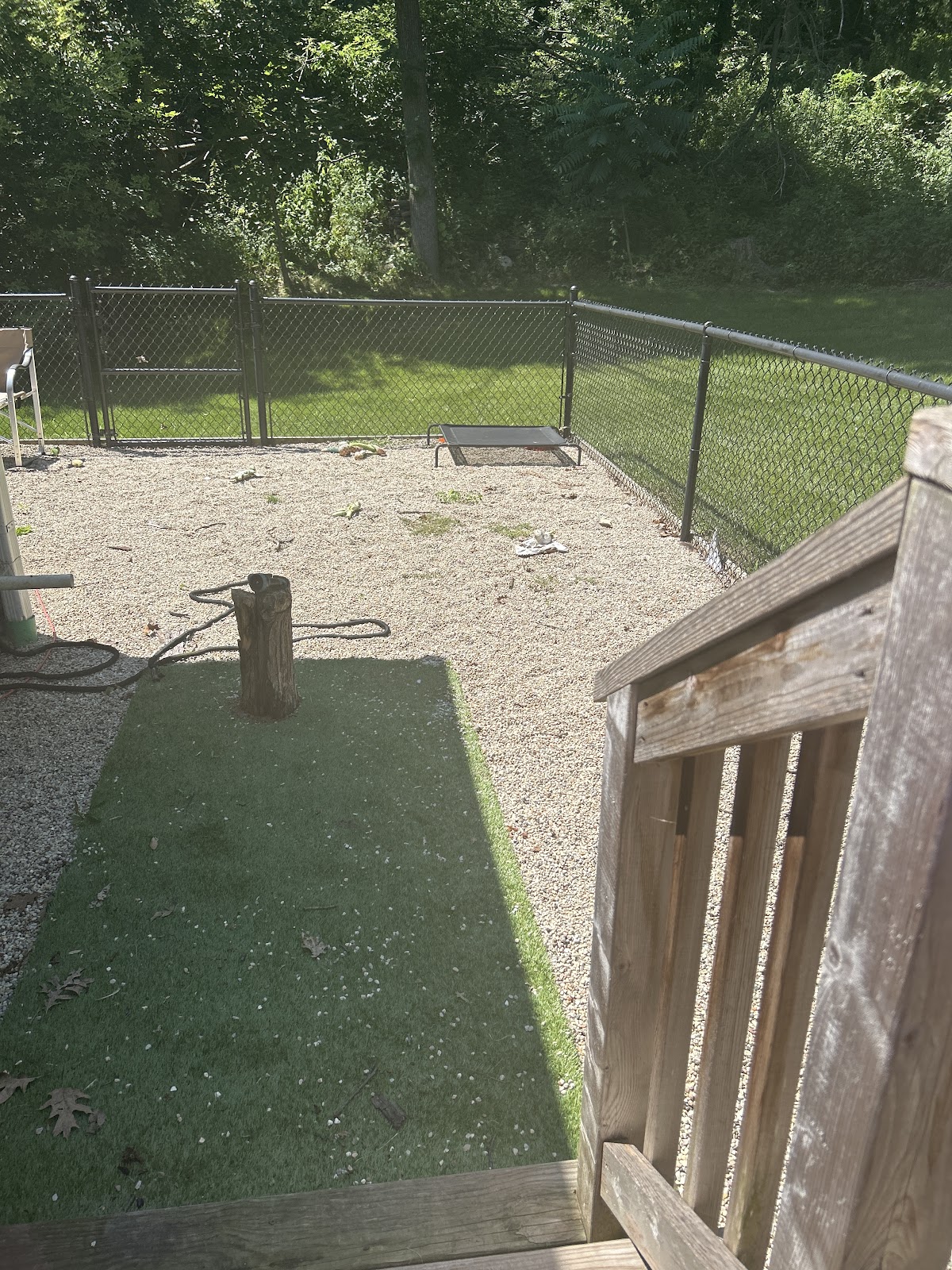 Friendly Scoopers - Photo 2