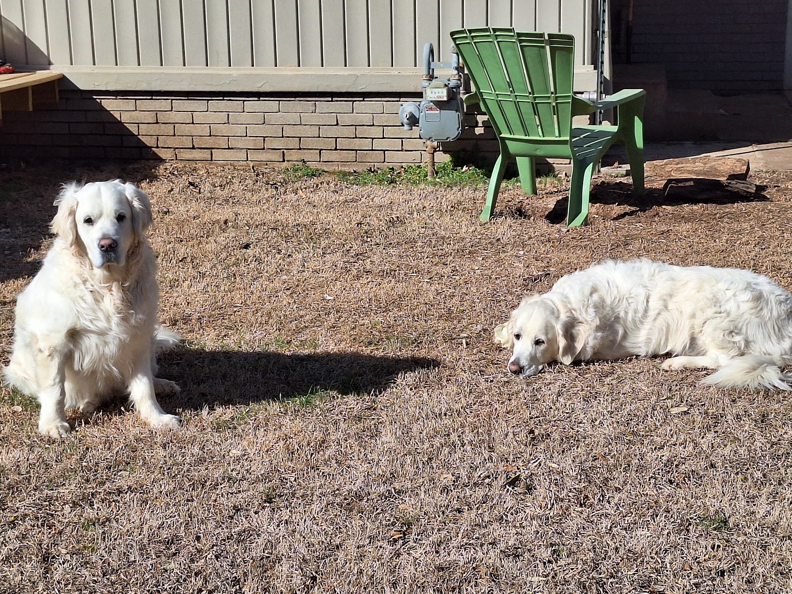 Scoop Soldiers - Oklahoma City - Photo 4