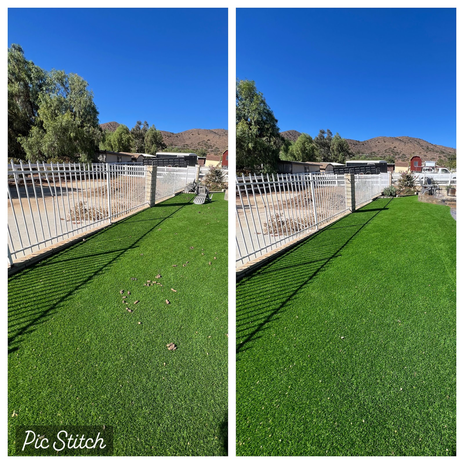 Poo Free Yards - Photo 2