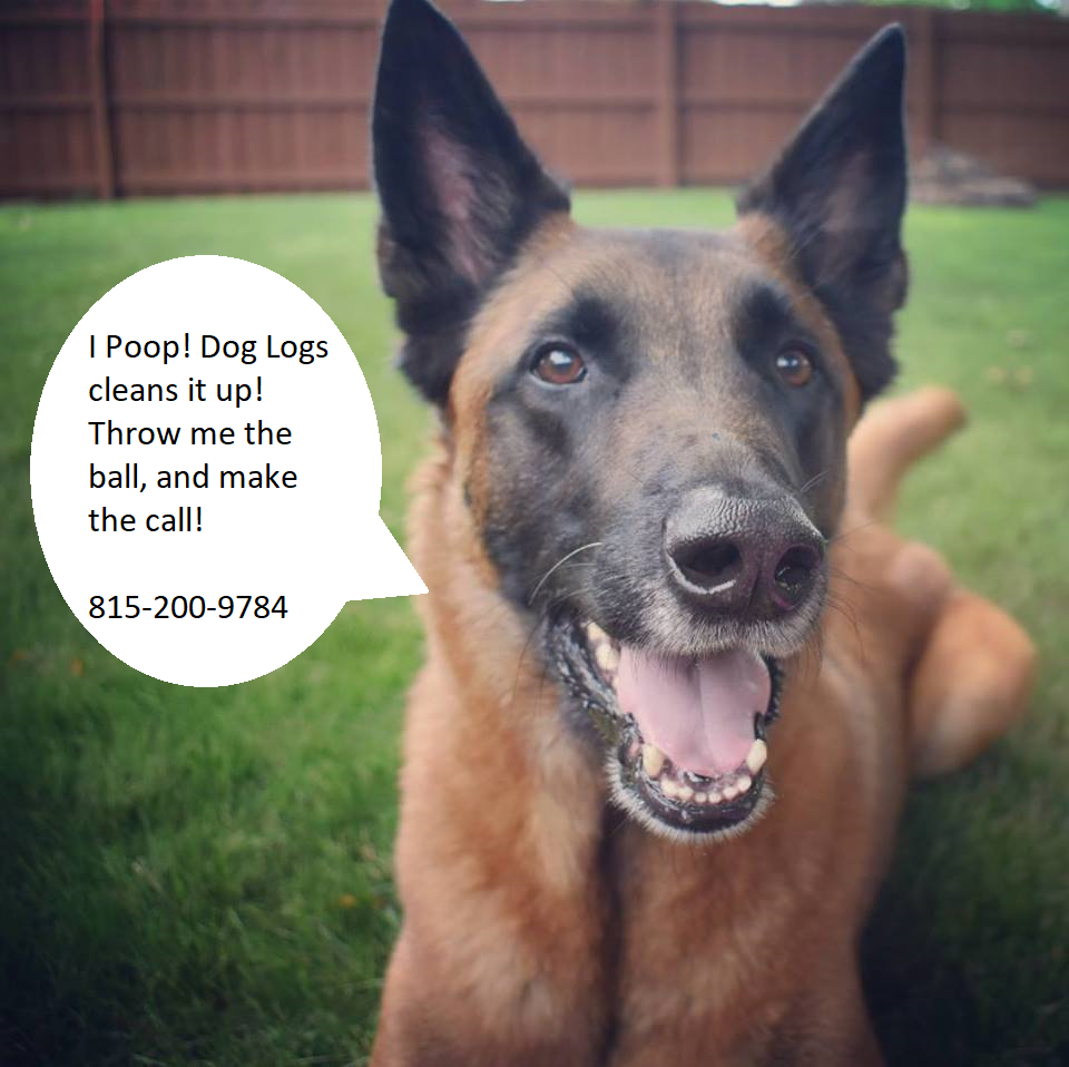 Dog Logs- Dog Waste Removal