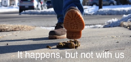 Dog Logs- Dog Waste Removal - Photo 2