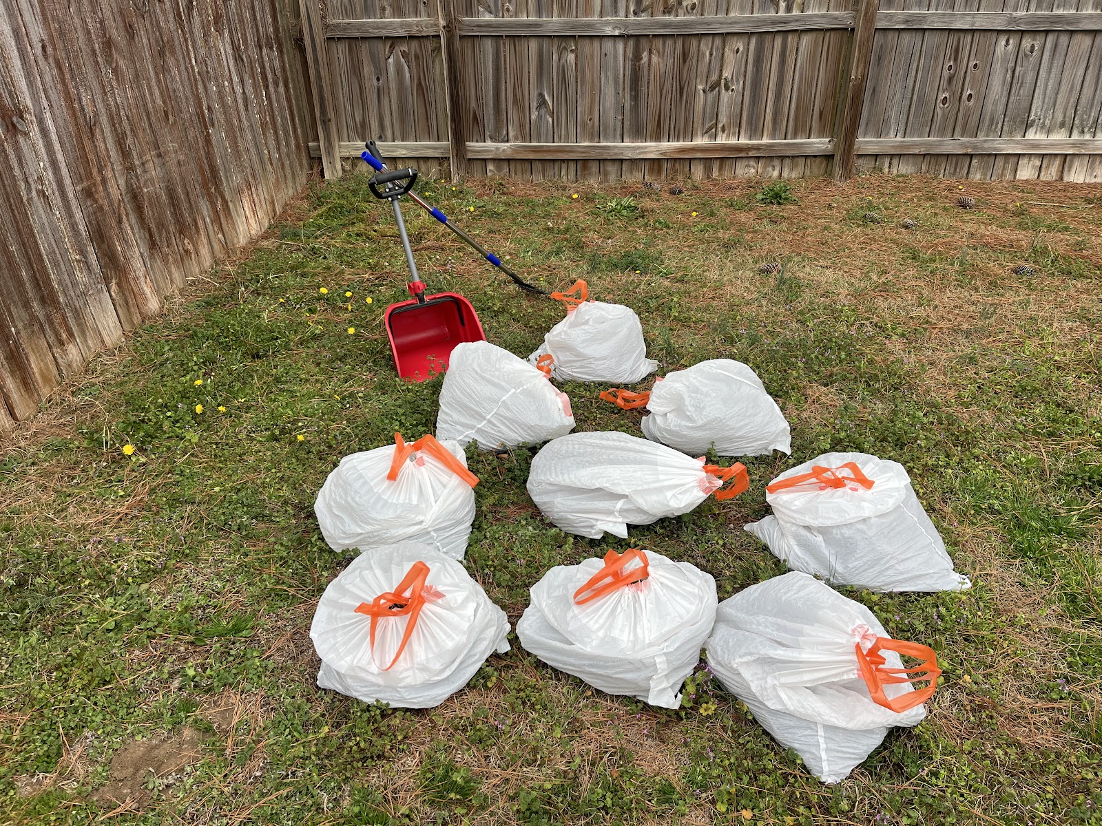 Scoopology Poop Removal NC