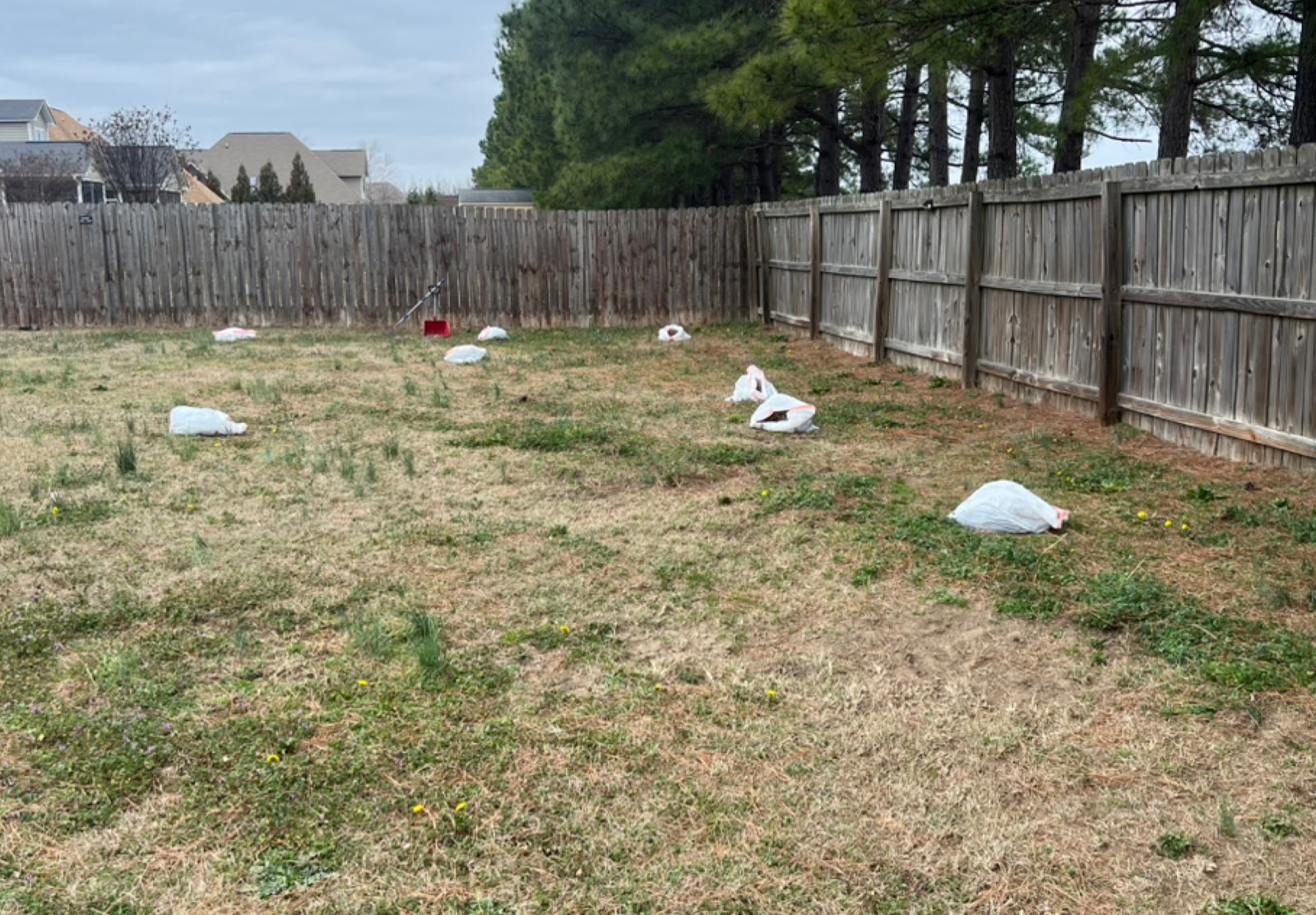 Scoopology Poop Removal NC - Photo 2