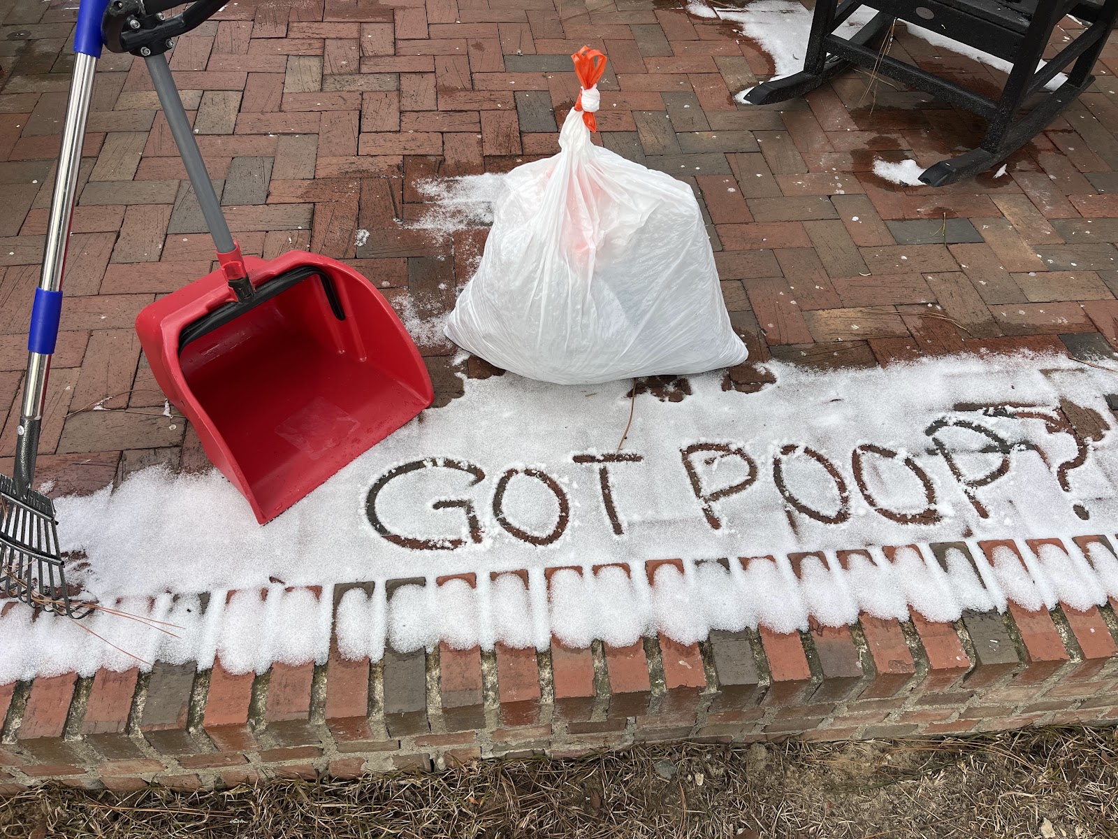 Scoopology Poop Removal NC - Photo 3