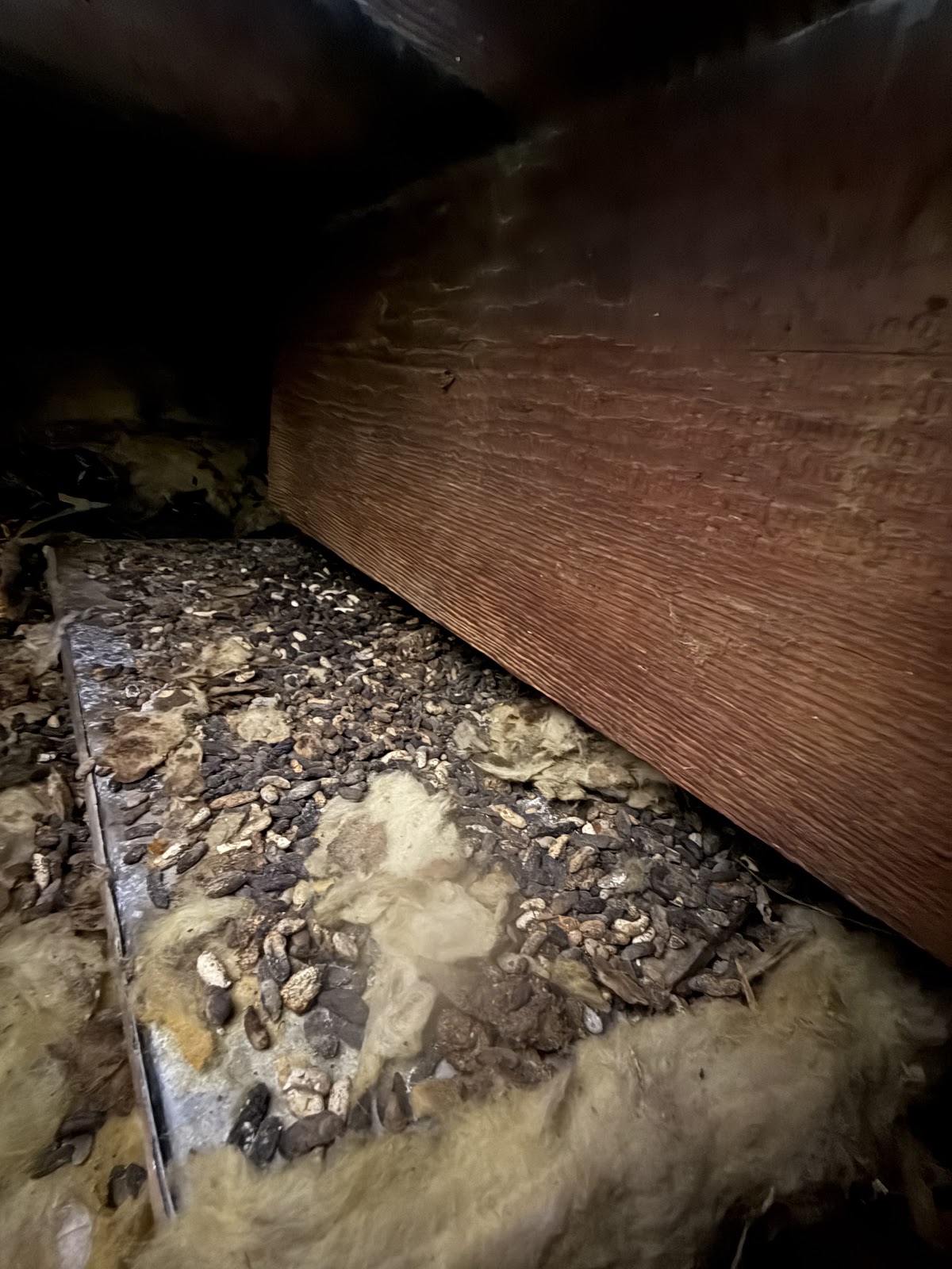 The Pooper Picker Upper - Photo 4