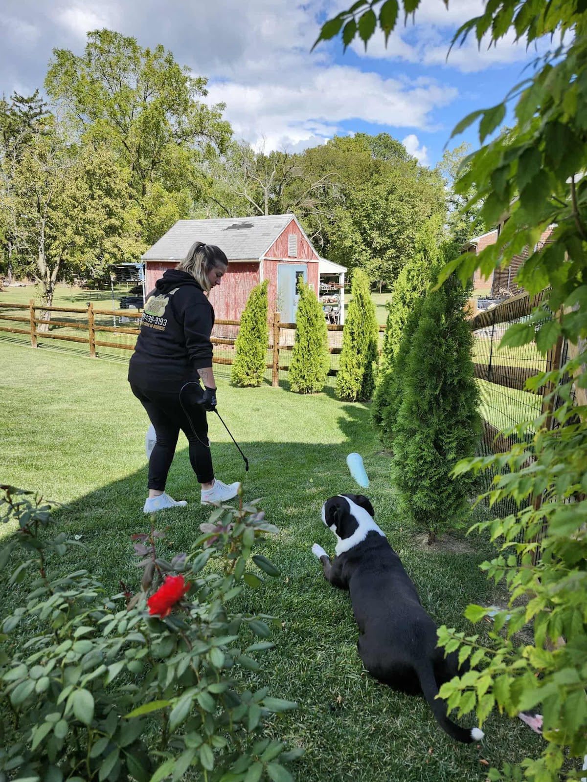 K9 Scooper Scouts, LLC - Photo 3