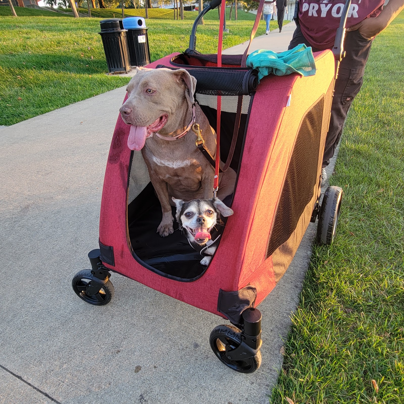 POOP 911 SE Columbus - Photo 3